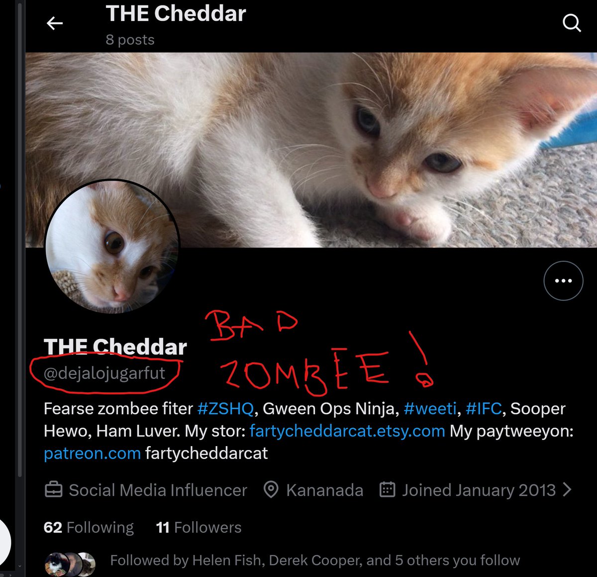 Cheddar tweet media