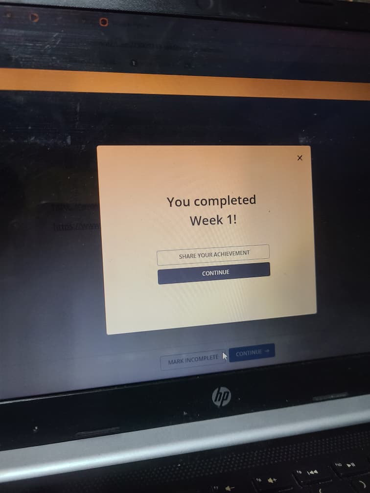 Hillary Adebayo tweet media