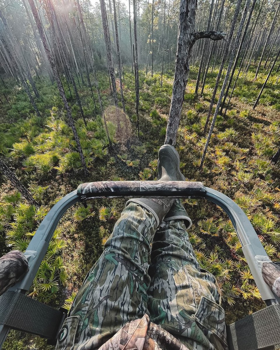 Summit Treestands tweet media