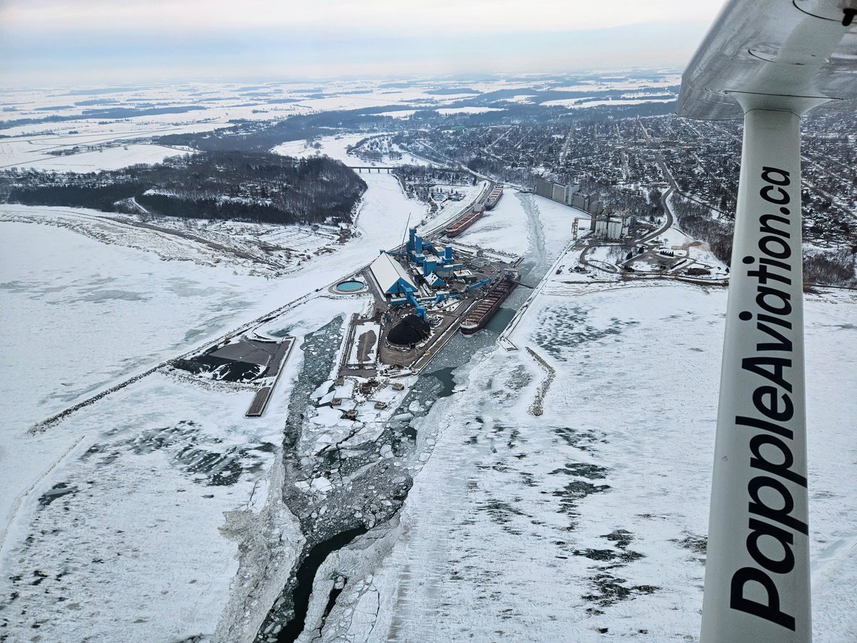 Papple Aviation tweet media