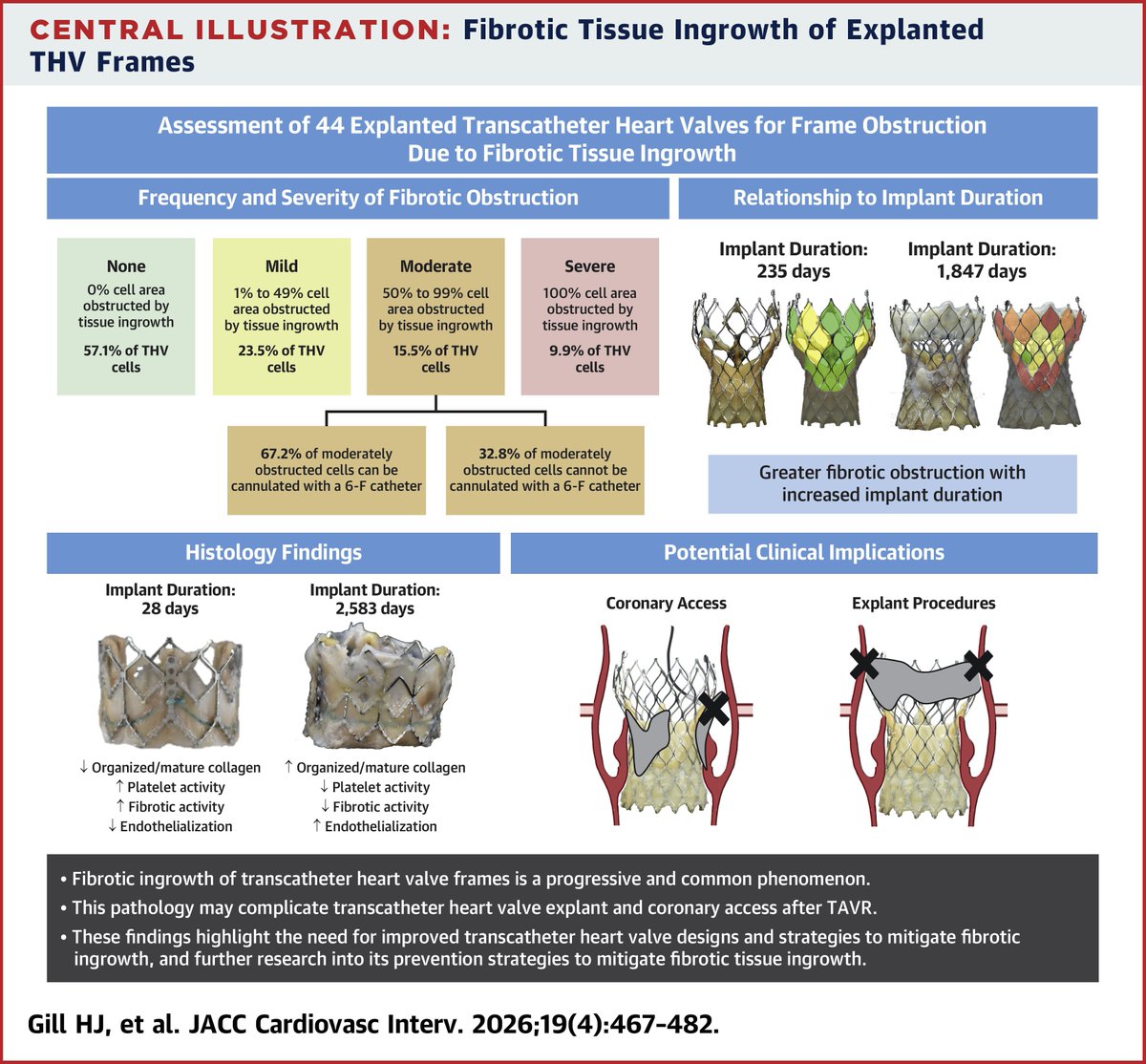 Dr. Gilbert Tang tweet media