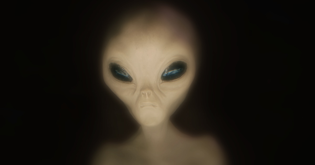 The General tweet media