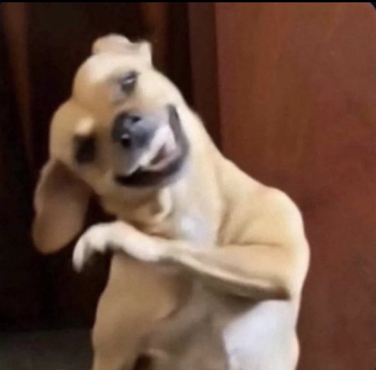 Nadja Pessoa 💋 tweet media