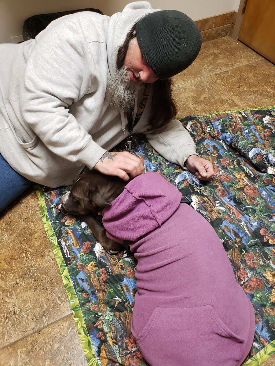 beccaboo71's tweet photo. @ThrillaRilla369 That's what we did about a year ago. It was so heartbreaking 💔.  Our vet was so kind to us. We miss Rosie so much. 😔 https://t.co/P9yry6zpNr