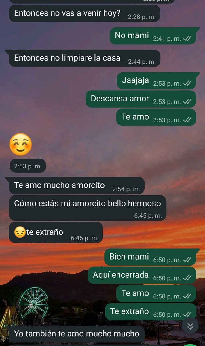 Yo también te extraño ma...
