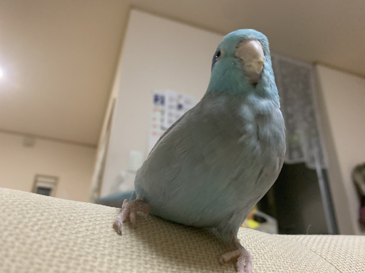 ずっと見下されてた🥲笑