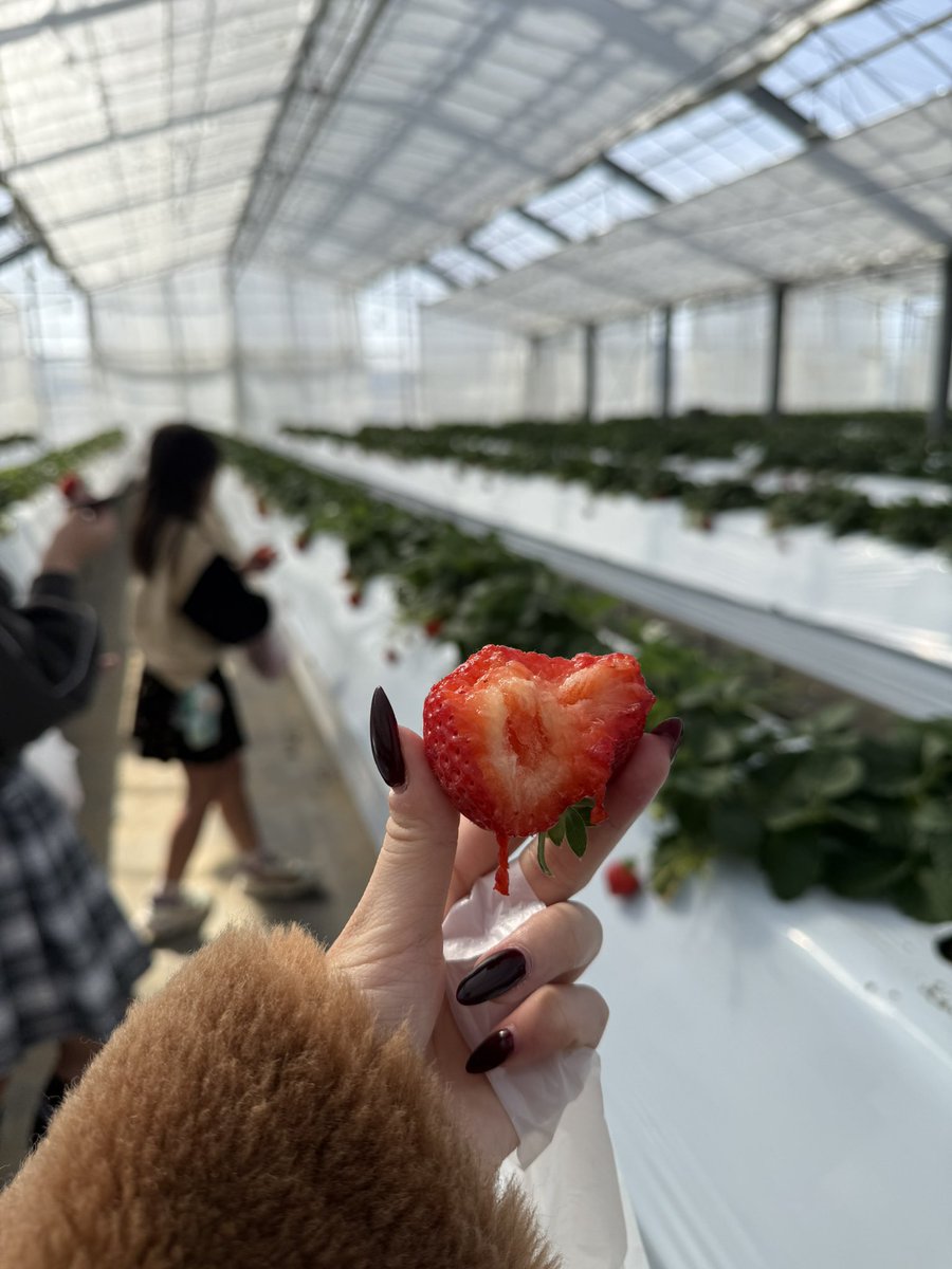 🍷🃏きゃん 彩花🃏🍷 tweet media