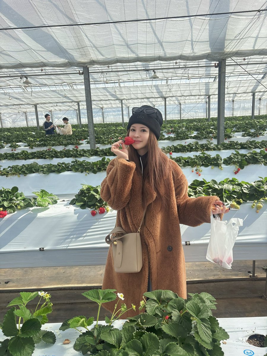 🍷🃏きゃん 彩花🃏🍷 tweet media