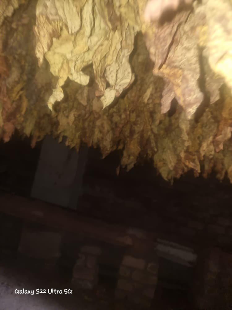 freshgate farm tweet media