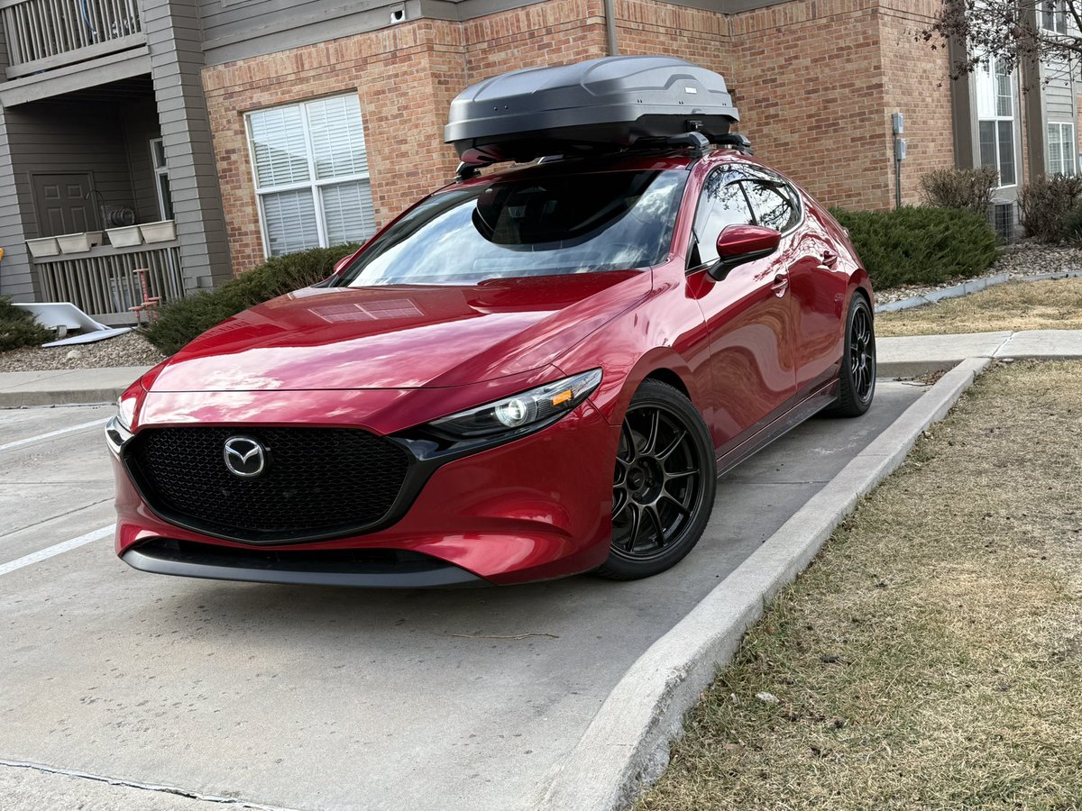 sam_snowfox's tweet photo. @Scribbled_Mutt Mazda https://t.co/QL5TAqLADj