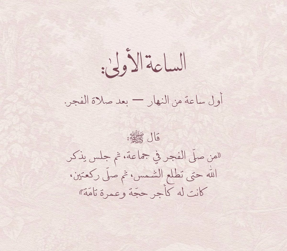 ad3iyaat's tweet photo. https://t.co/mFm7Ep9zZS