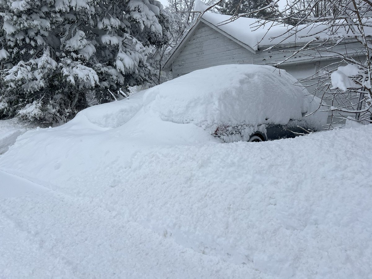 Wes 🏳️‍🌈 tweet media