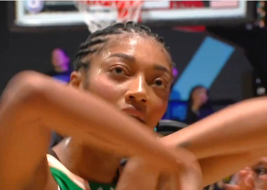 punch girls tweet media