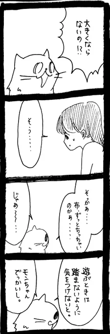 ドワーフキャットタオルちゃん24 