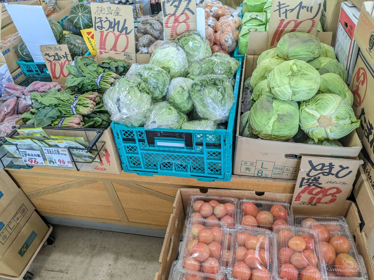 今日の激安野菜!! いちご1ﾊﾟｯｸ398円 デコポン1袋298円 レモン1袋