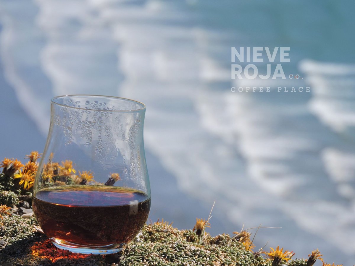 nieverojacafe's tweet photo. Hay nueva carta de café ❤️ https://t.co/LJPVDrSSR2