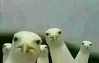 YessYoon93's tweet photo. Necesito contexto de porque andan funando a Jinx (entiendan que entro a esta cueva cada que vuela un chancho) https://t.co/z30C8mG0hb