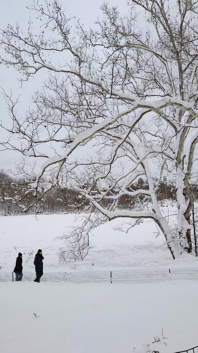 Sharon Isbin tweet media