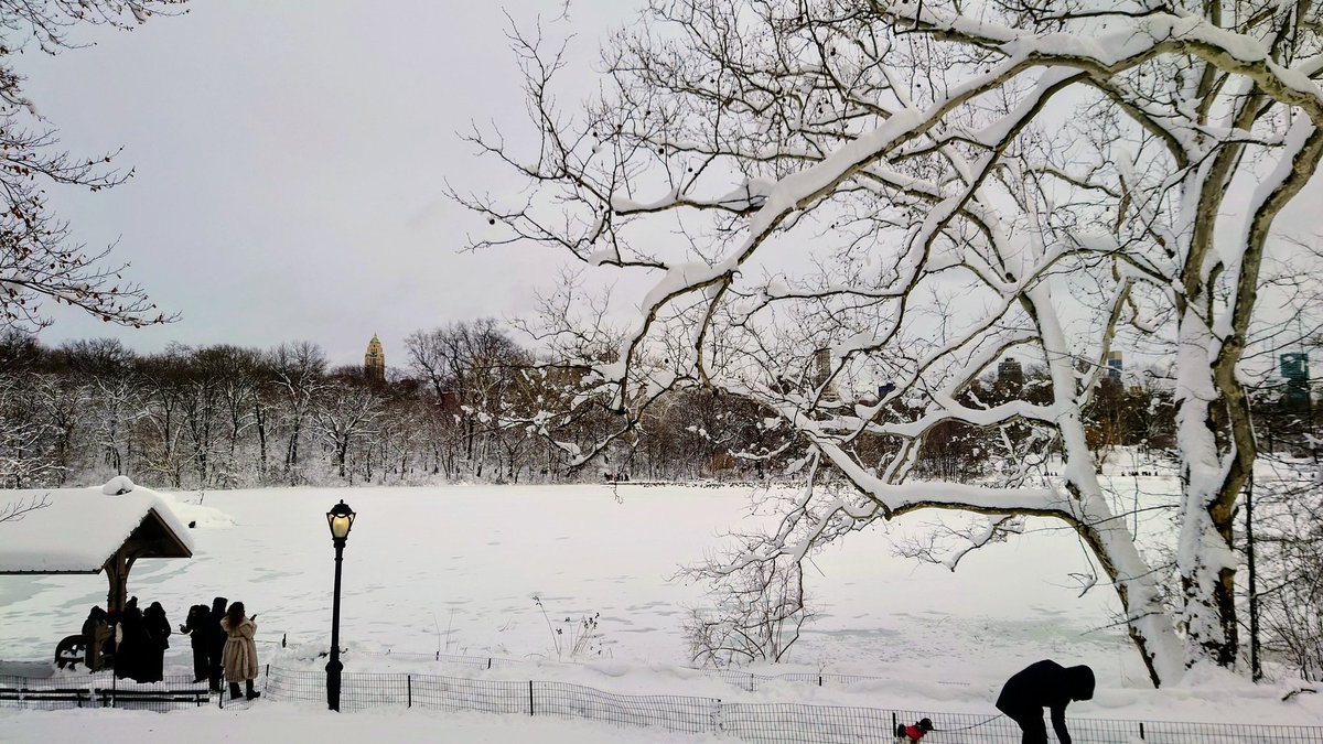 Sharon Isbin tweet media