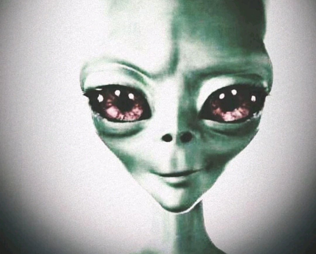 7001 doshagumas tweet media