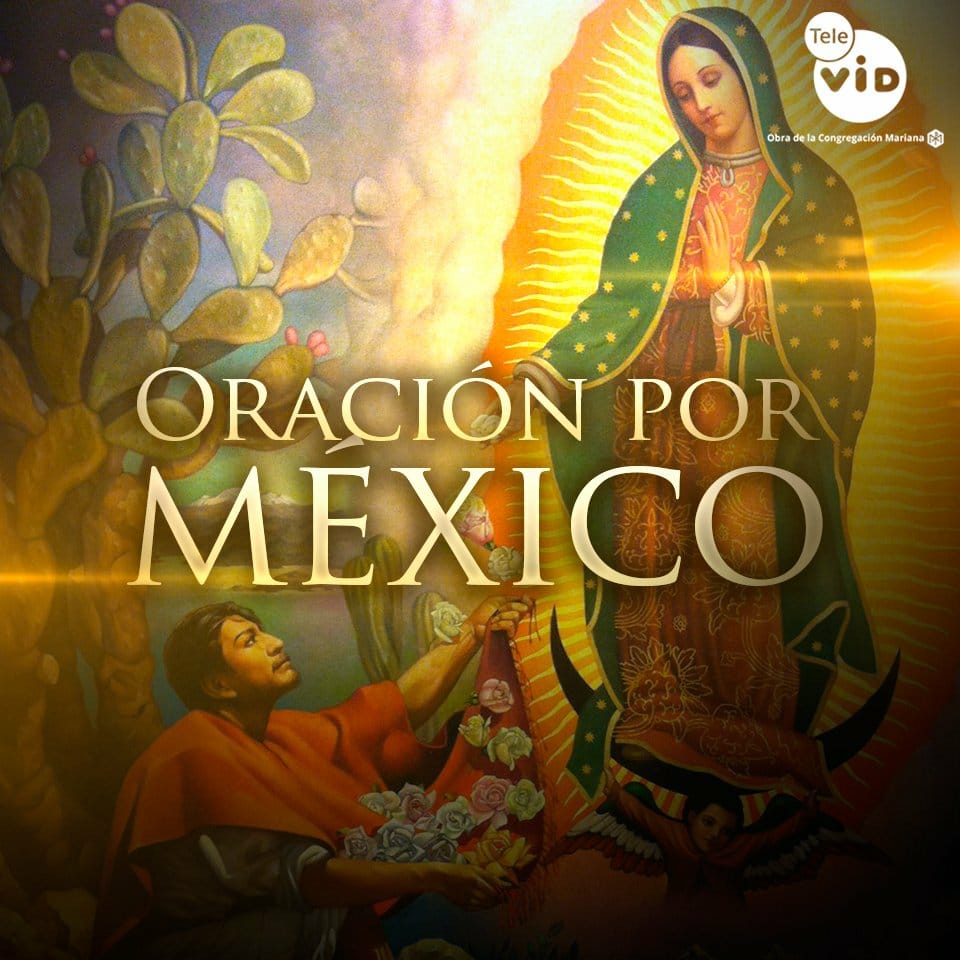 d_mhg's tweet photo. Bendecida noche hnas/os.
🌹⛪#ORARSINCÉSAR ⛪🌹
🌹⛪#ELSANTOROSARIO ⛪🌹
#OraciónPorMexico
Señor te rogamos por nuestros hermanos de México, por su paz y prosperidad. Señor te rogamos...🙏 https://t.co/B9Ayj9k7Xy