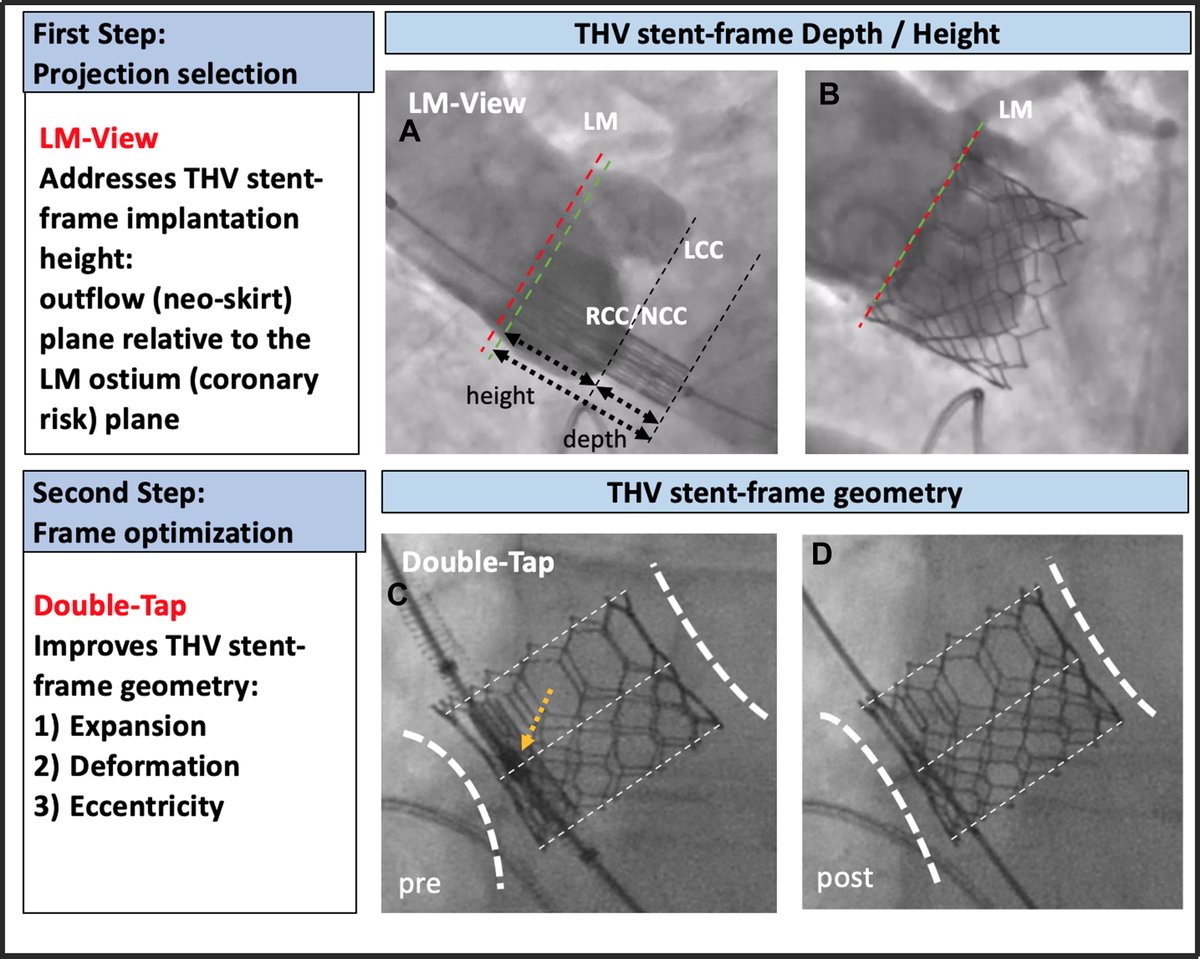 Dr. Gilbert Tang tweet media