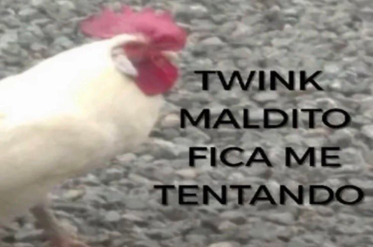 Ravi 🇧🇷 tweet media