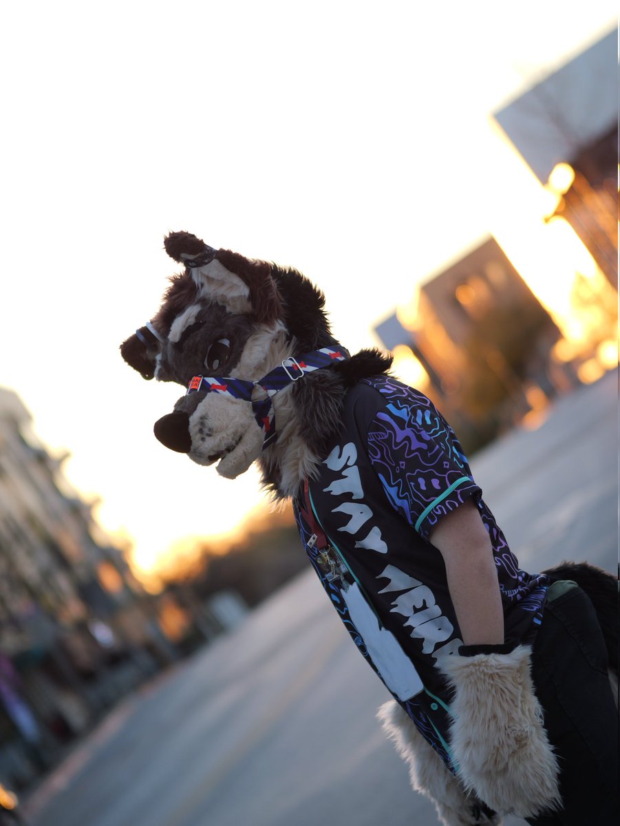 Major 🔜 TFF, FWA tweet media