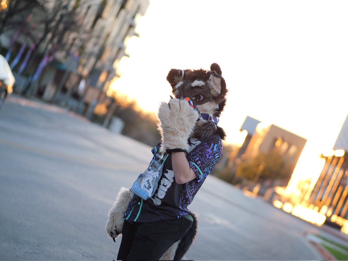 Major 🔜 TFF, FWA tweet media