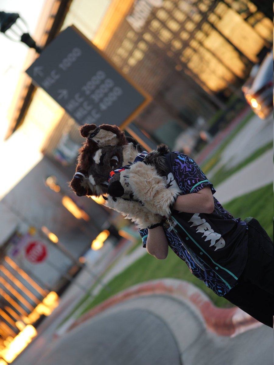 Major 🔜 TFF, FWA tweet media