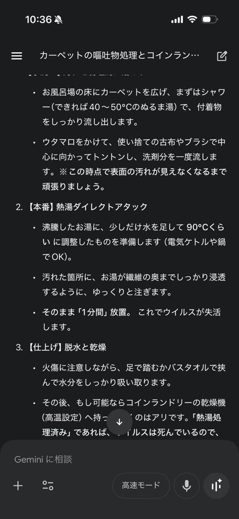 risa_in_arab's tweet photo. ありがとうgemini… https://t.co/30AdR8c9wJ