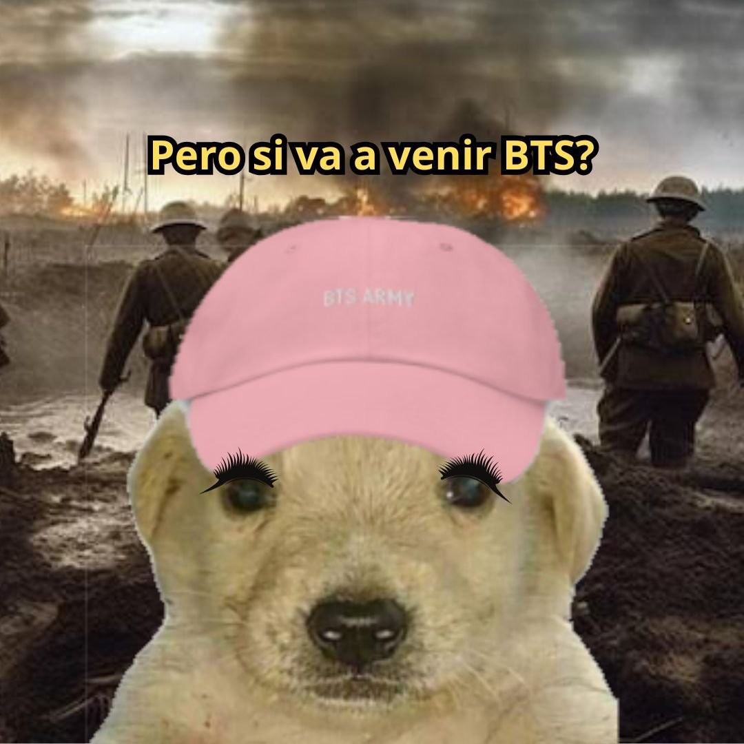 Las Armys  en estos momentos con sus prioridades claras  🐶