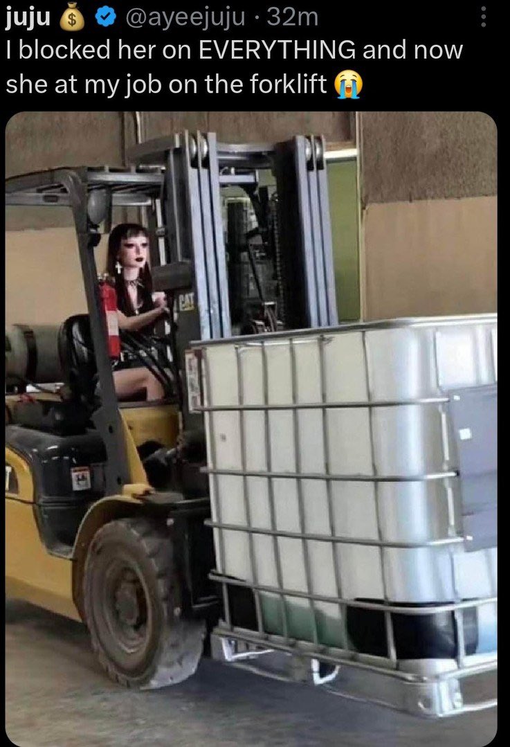 太陽丸 tweet media