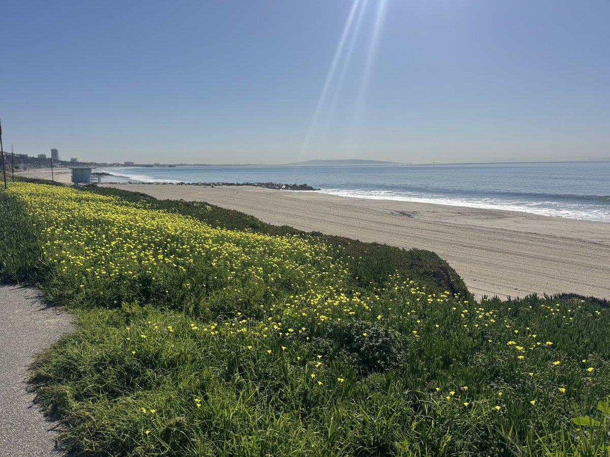 Mahdi Soltanolkotabi tweet media