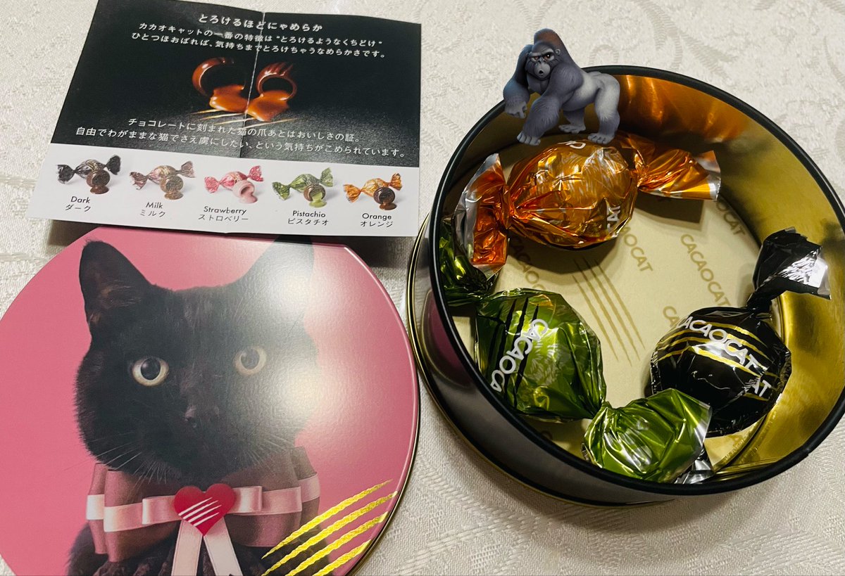 きなこもちY (@kinako_mochi_y) / Posts / X