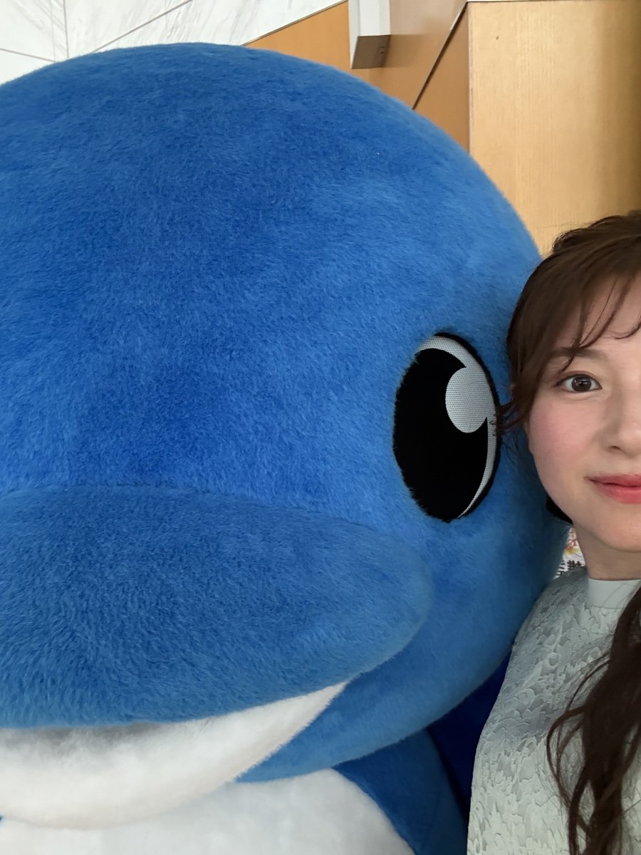 UMKテレビ宮崎のキャラクター ゆっぴー🐬♡ ゆぴさんと呼んでいます🙂‍↕️