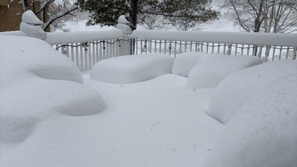 UnitedAidFoundation tweet media