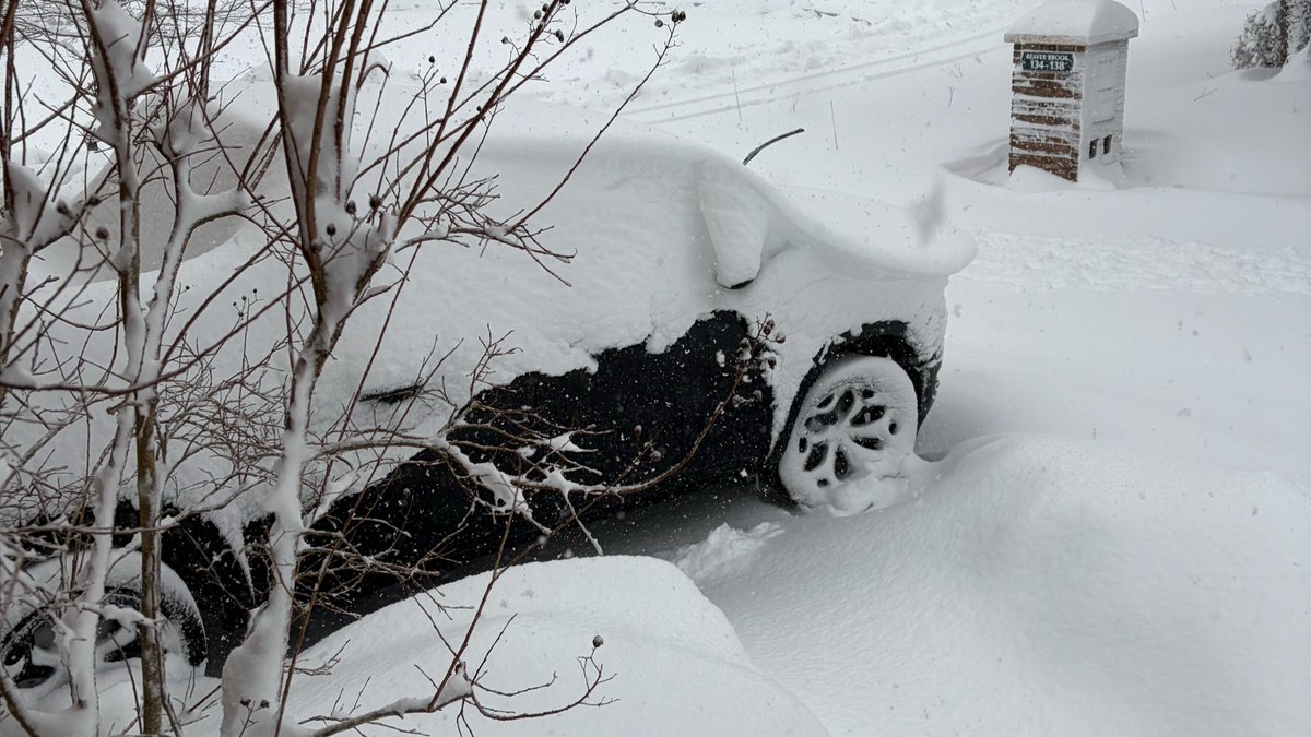 UnitedAidFoundation tweet media