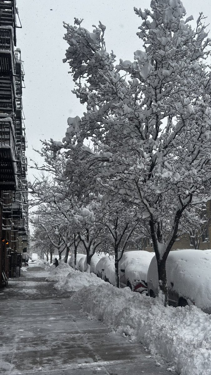 nastyern's tweet photo. #nycblizzard Vermilyea https://t.co/Nlpn716pfZ