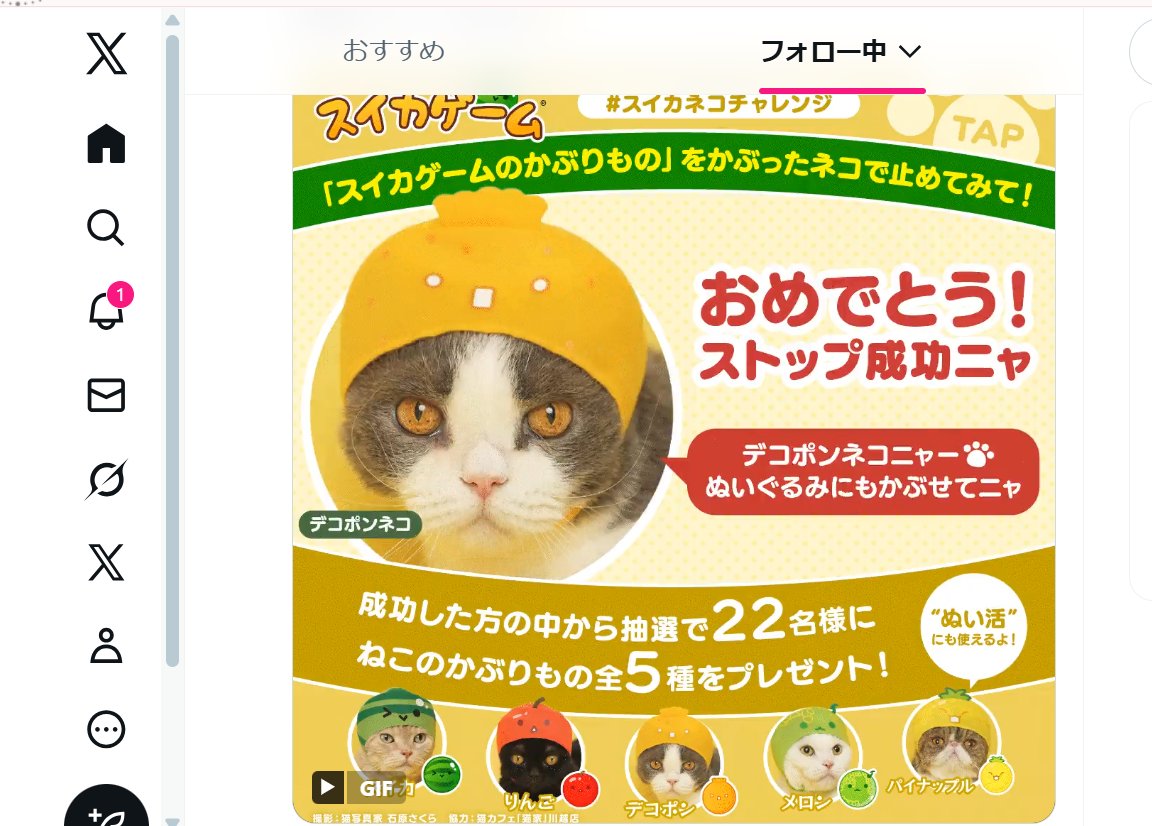 ららねね🖤🏳️‍🌈🏳️‍⚧️ (@lala_no_nene) / Posts / X