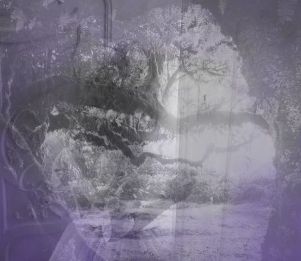 Arco-Gen SMP tweet media