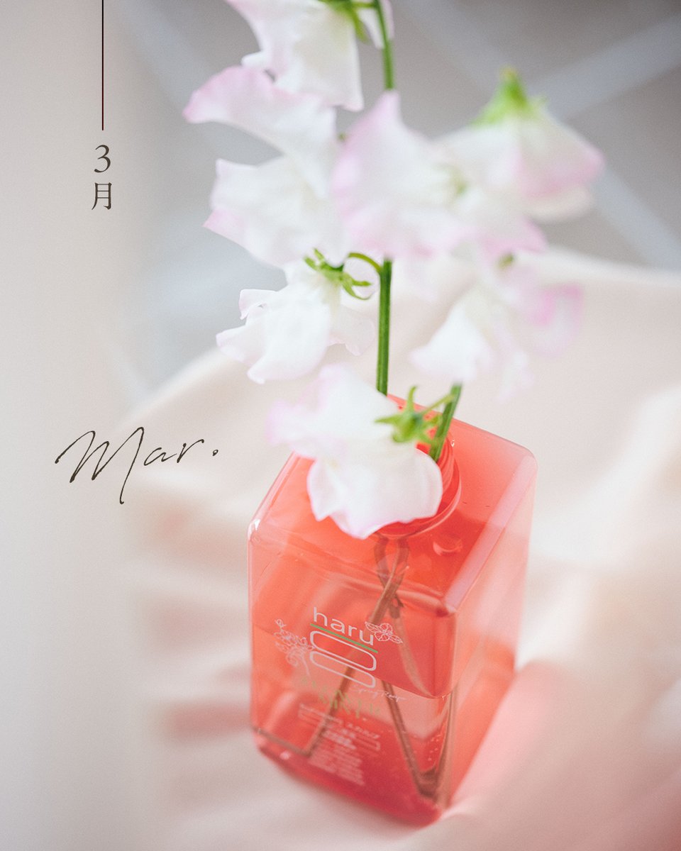 haru【公式】 (@haru0801_1812) / Posts / X