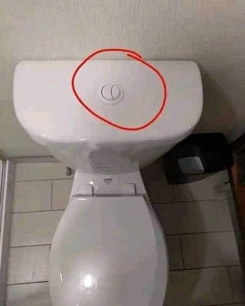 Achadinhos da Shô tweet media