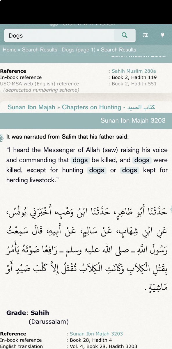 Cayden lee tweet media