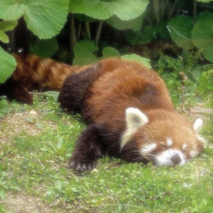 ReXY⚠︎ 🔜 FWA tweet media