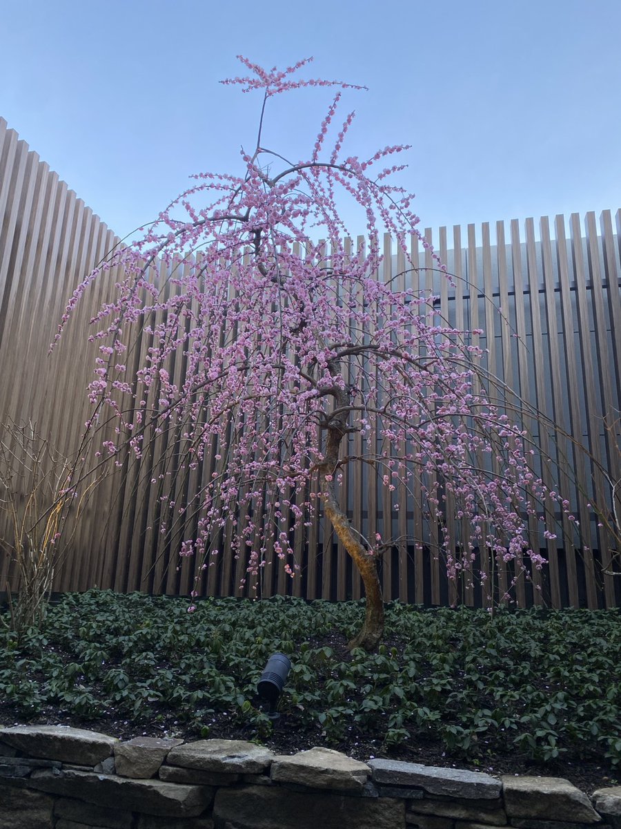 ひろりん♪ (@hirorin4649) / Posts / X