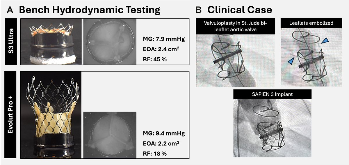 Dr. Gilbert Tang tweet media