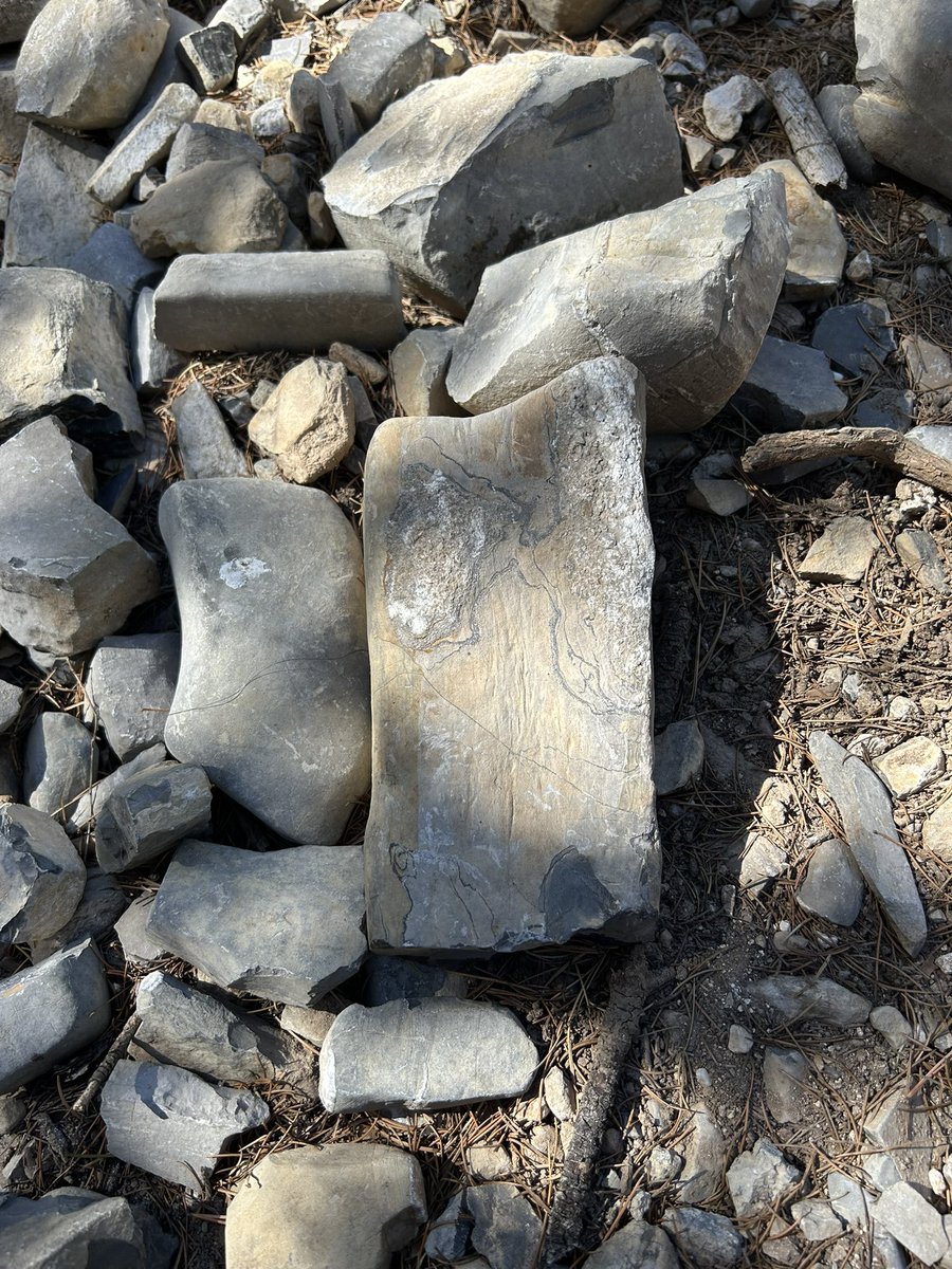 I like it here deep in the woods