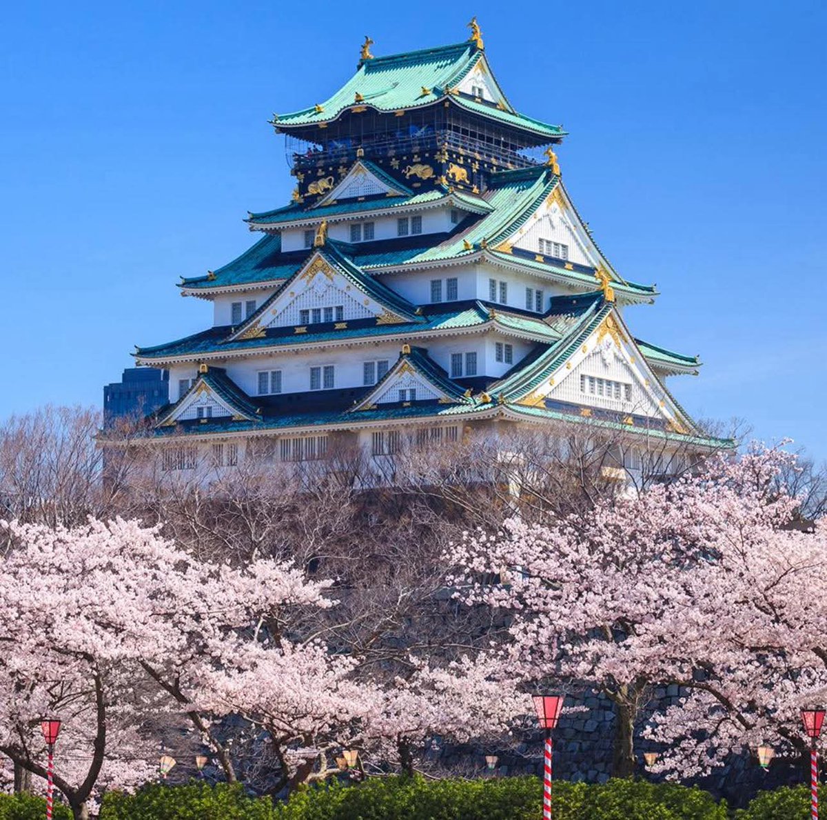 The world in Frames tweet media