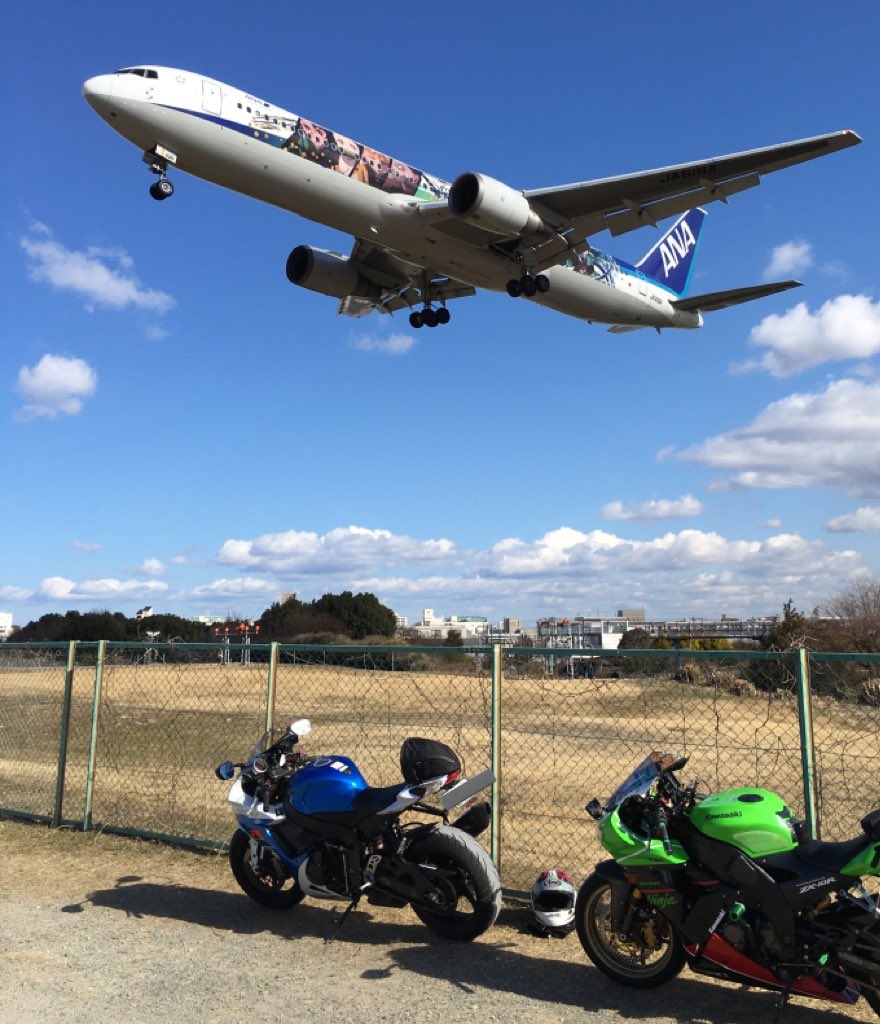 こーじ@DvlFairy tweet media